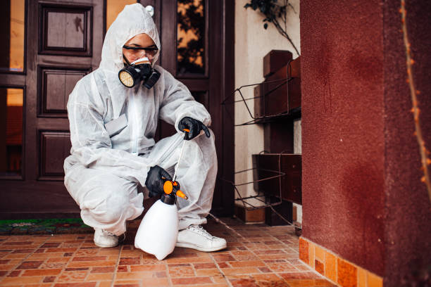 Reliable Bed Bug Control contractor in Somersworth, NH by Nex Pest Control