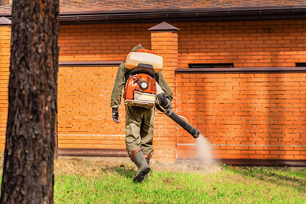 Trusted Emergency Pest Control service in Somersworth, NH - Nex Pest Control